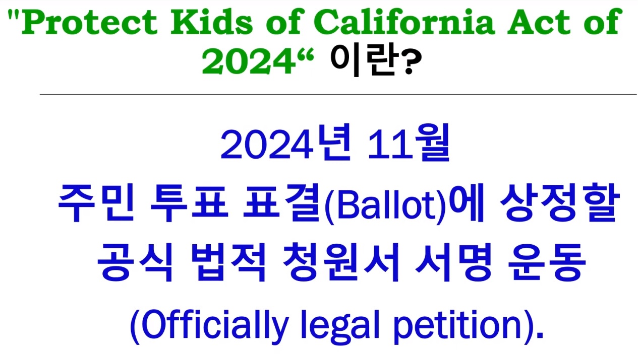 CA Act 2024